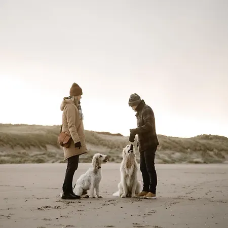 Pet-friendly In Callanstoog Near * Callantsoog